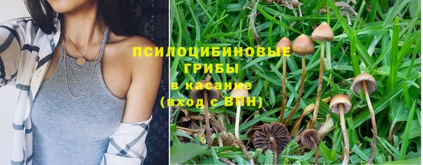 марки lsd Абаза