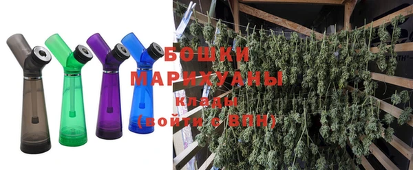 спайс Покачи