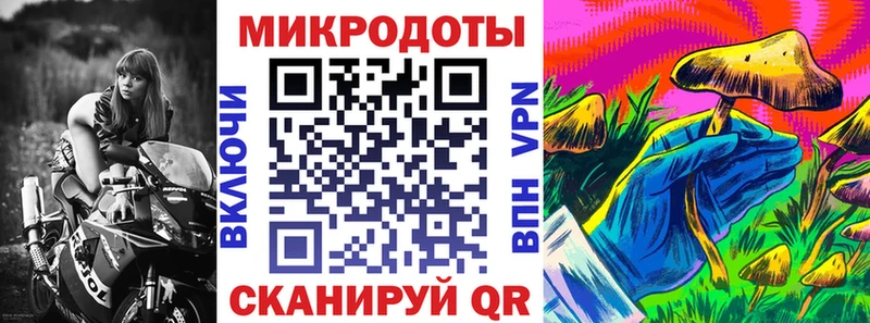 дарнет шоп Зубцов Псилоцибиновые грибы мицелий